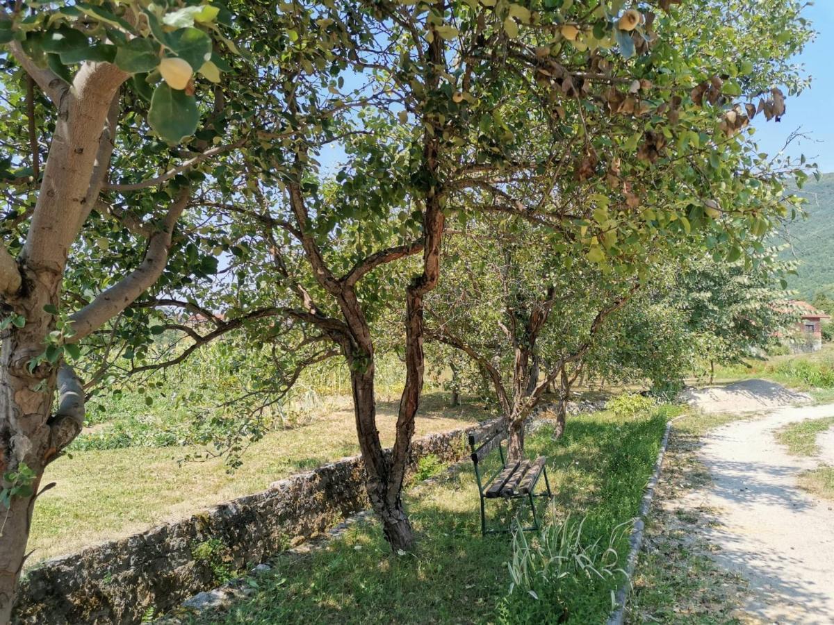 Una National Park Apartment Bihać Екстериор снимка